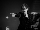 Pulp