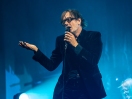 Pulp